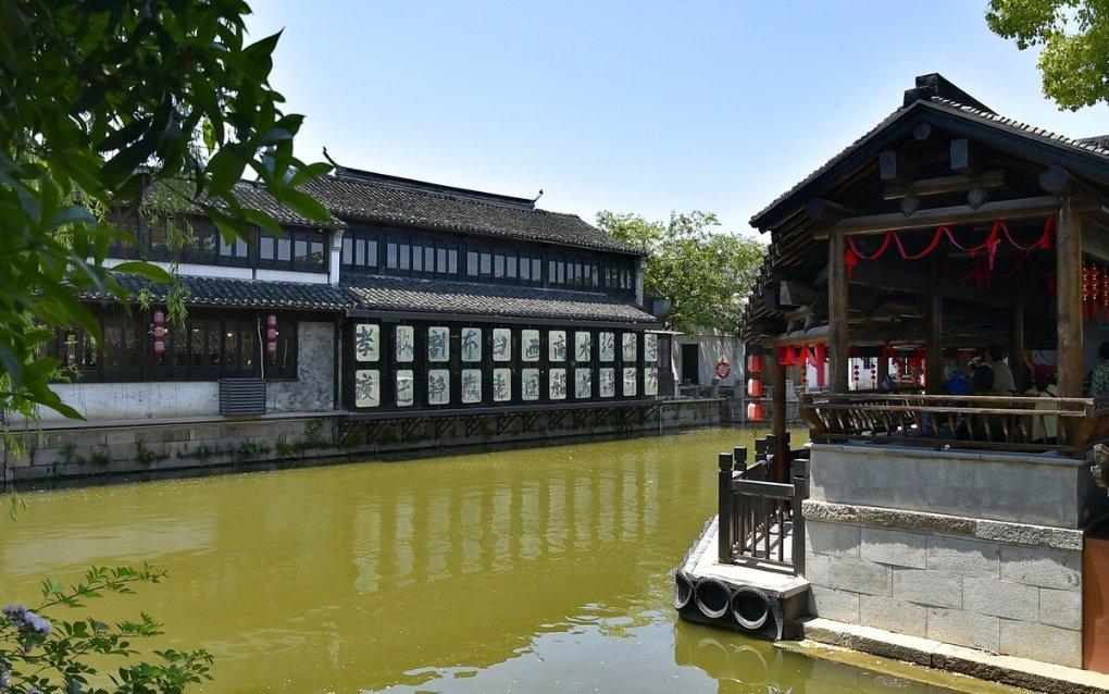 我国明确生物多样性保护“路线图”(新华社)