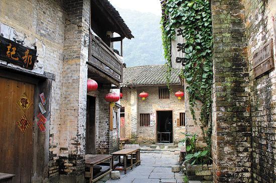 小僵尸射飞鸟